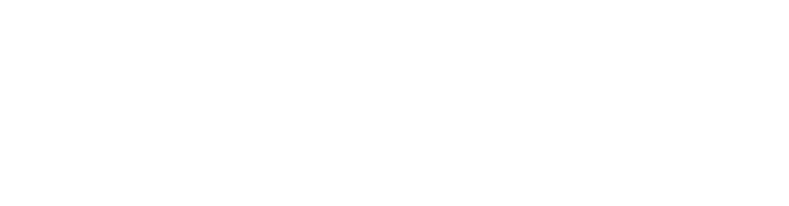 Digital Domain